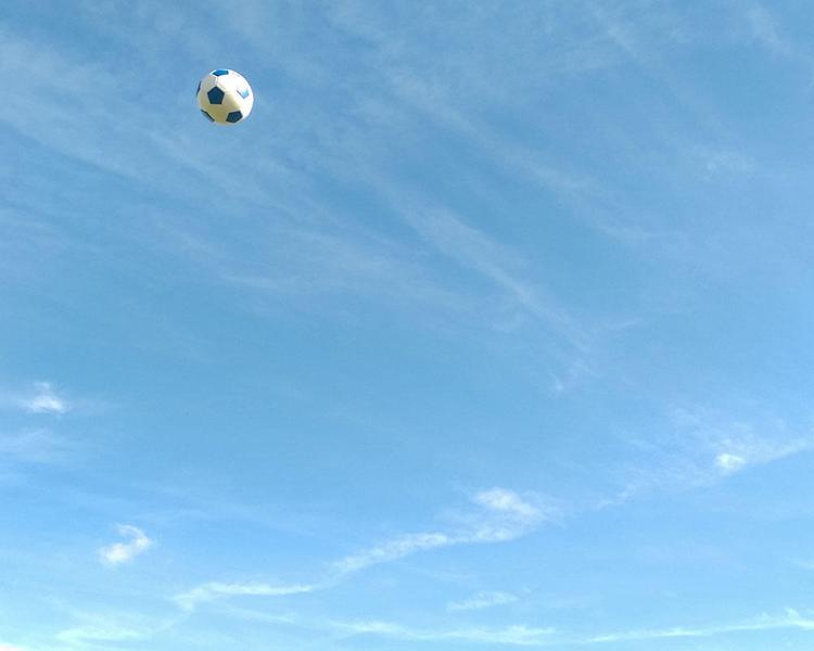 逆境や病との戦い、サッカー選手たちの半生などを綴った本5選