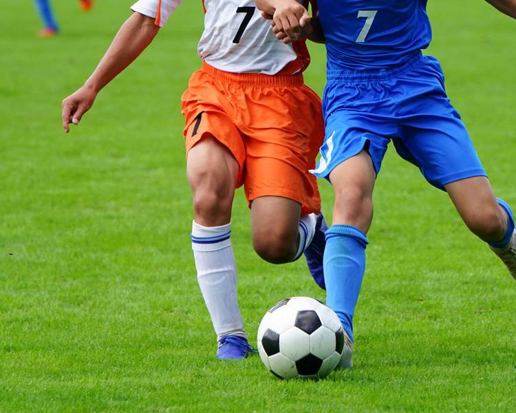 求めるのは耐久性？それともフィット力？シンガードの種類や選び方【編集部おすすめ商品紹介も！】