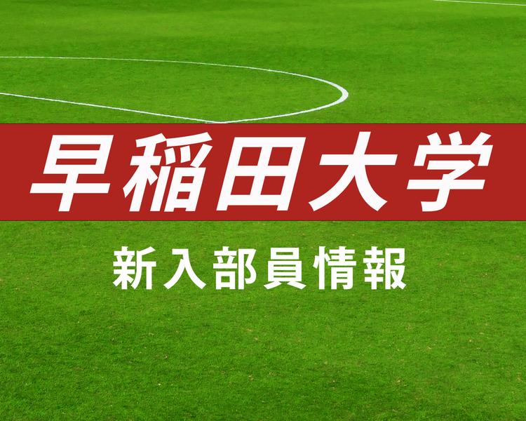 早稲田大学 2024年度新入部員一覧！前橋育英、尚志、藤枝東などから入部！【大学進路情報】
